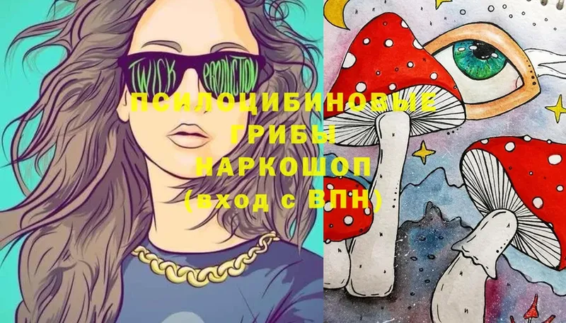 shop телеграм  Азнакаево  Псилоцибиновые грибы Psilocybine cubensis 